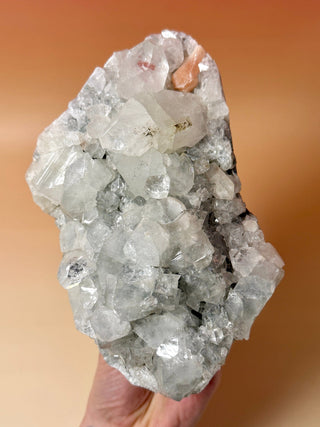 STARSEER APOPHYLLITE CLUSTER (1) Cluster The Crystal Avenues 