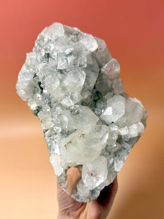 STARSEER APOPHYLLITE CLUSTER (1) Cluster The Crystal Avenues 