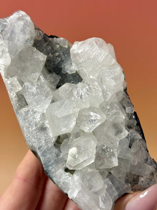 STARSEER APOPHYLLITE CLUSTER (10) Cluster The Crystal Avenues 