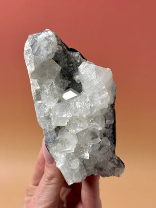 STARSEER APOPHYLLITE CLUSTER (10) Cluster The Crystal Avenues 