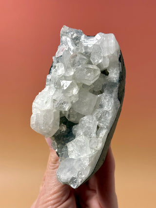 STARSEER APOPHYLLITE CLUSTER (10) Cluster The Crystal Avenues 
