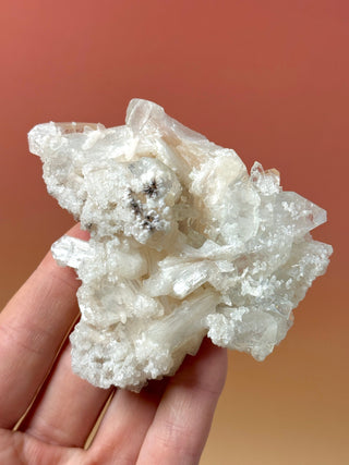 STARSEER APOPHYLLITE CLUSTER (12) Cluster The Crystal Avenues 