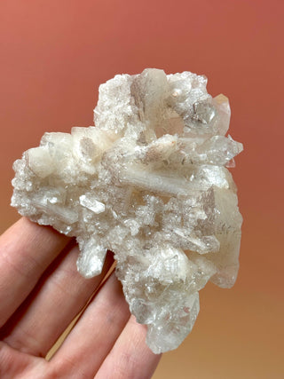 STARSEER APOPHYLLITE CLUSTER (12) Cluster The Crystal Avenues 