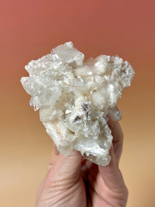 STARSEER APOPHYLLITE CLUSTER (12) Cluster The Crystal Avenues 