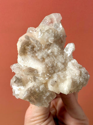 STARSEER APOPHYLLITE CLUSTER (12) Cluster The Crystal Avenues 