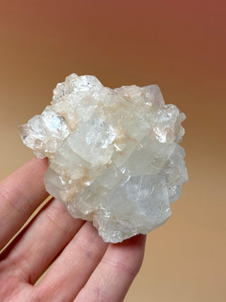 STARSEER APOPHYLLITE CLUSTER (14A) Cluster The Crystal Avenues 