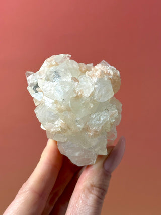 STARSEER APOPHYLLITE CLUSTER (14A) Cluster The Crystal Avenues 