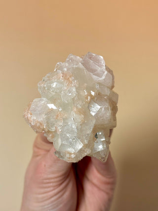 STARSEER APOPHYLLITE CLUSTER (14A) Cluster The Crystal Avenues 