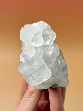 STARSEER APOPHYLLITE CLUSTER (15) Cluster The Crystal Avenues 