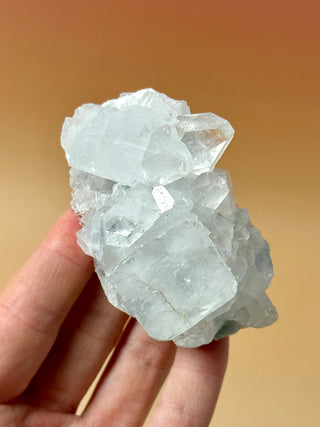 STARSEER APOPHYLLITE CLUSTER (15) Cluster The Crystal Avenues 