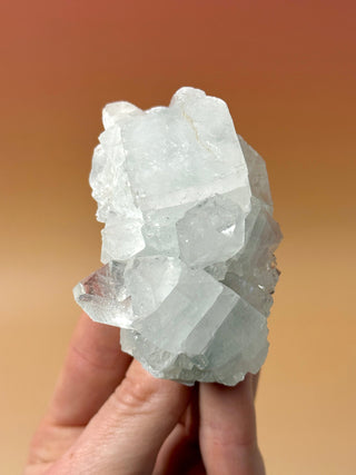 STARSEER APOPHYLLITE CLUSTER (15) Cluster The Crystal Avenues 