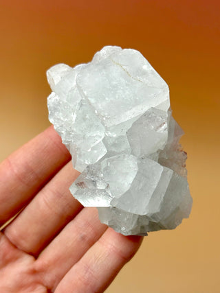 STARSEER APOPHYLLITE CLUSTER (15) Cluster The Crystal Avenues 