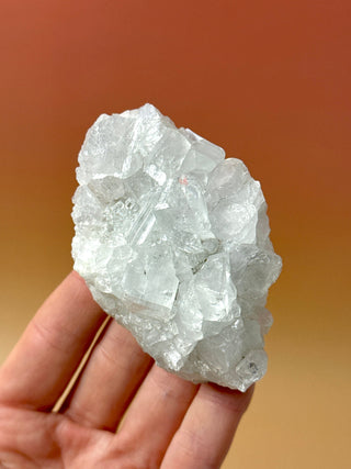 STARSEER APOPHYLLITE CLUSTER (18) Cluster The Crystal Avenues 