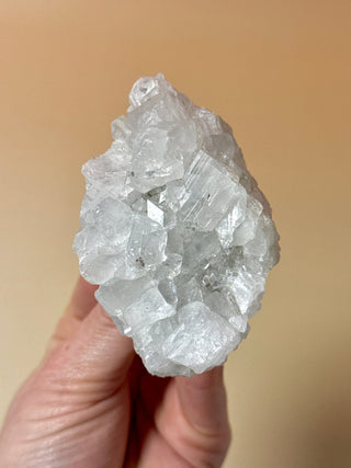 STARSEER APOPHYLLITE CLUSTER (18) Cluster The Crystal Avenues 