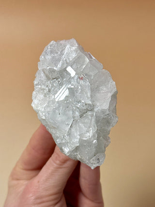 STARSEER APOPHYLLITE CLUSTER (18) Cluster The Crystal Avenues 