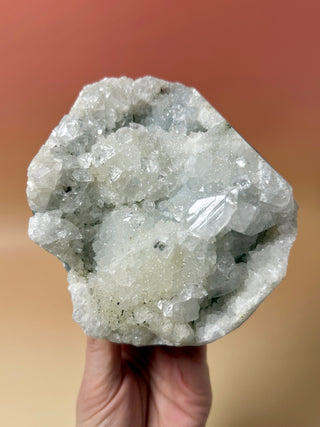STARSEER APOPHYLLITE CLUSTER (2) Cluster The Crystal Avenues 