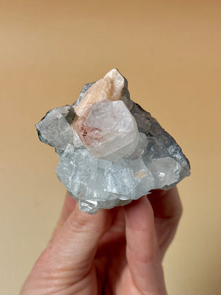 STARSEER APOPHYLLITE CLUSTER (22) Cluster The Crystal Avenues 