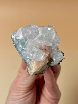 STARSEER APOPHYLLITE CLUSTER (22) Cluster The Crystal Avenues 