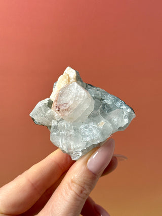 STARSEER APOPHYLLITE CLUSTER (22) Cluster The Crystal Avenues 