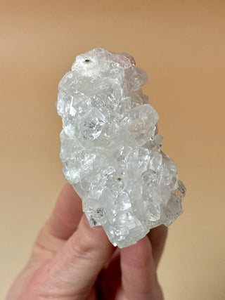 STARSEER APOPHYLLITE CLUSTER (23) Cluster The Crystal Avenues 