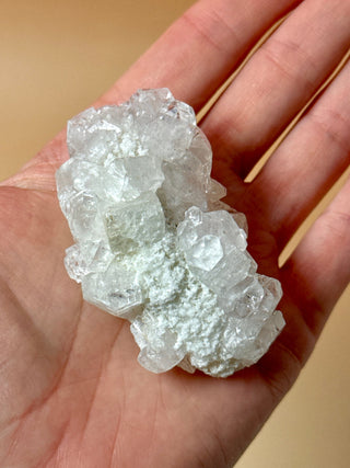 STARSEER APOPHYLLITE CLUSTER (23) Cluster The Crystal Avenues 