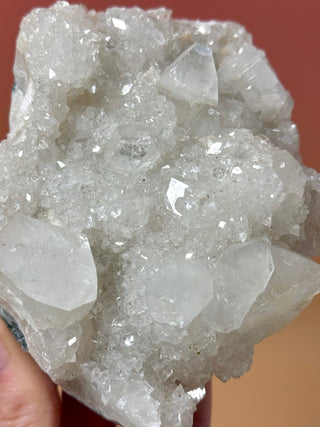STARSEER APOPHYLLITE CLUSTER (3) Cluster The Crystal Avenues 