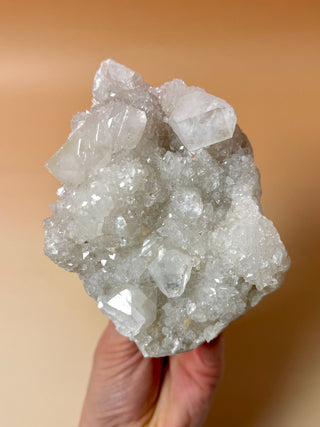 STARSEER APOPHYLLITE CLUSTER (3) Cluster The Crystal Avenues 