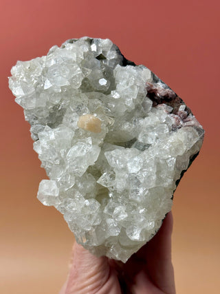 STARSEER APOPHYLLITE CLUSTER (4) Cluster The Crystal Avenues 
