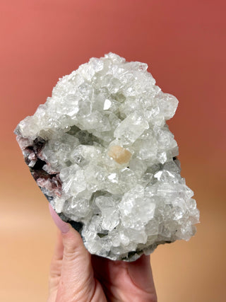 STARSEER APOPHYLLITE CLUSTER (4) Cluster The Crystal Avenues 