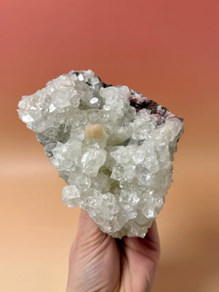 STARSEER APOPHYLLITE CLUSTER (4) Cluster The Crystal Avenues 