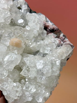 STARSEER APOPHYLLITE CLUSTER (4) Cluster The Crystal Avenues 