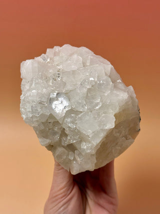 STARSEER APOPHYLLITE CLUSTER (6) Cluster The Crystal Avenues 