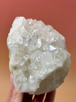 STARSEER APOPHYLLITE CLUSTER (6) Cluster The Crystal Avenues 