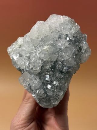 STARSEER APOPHYLLITE CLUSTER (8) Cluster The Crystal Avenues 