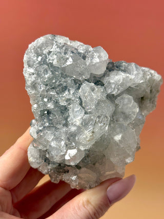 STARSEER APOPHYLLITE CLUSTER (8) Cluster The Crystal Avenues 