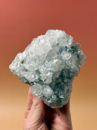 STARSEER APOPHYLLITE CLUSTER (8) Cluster The Crystal Avenues 