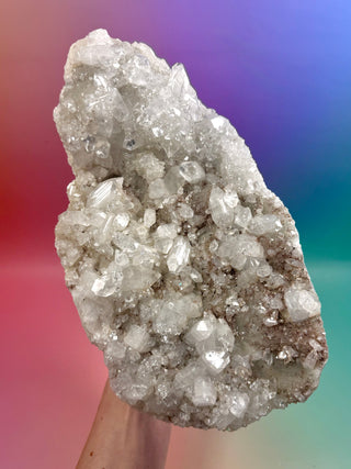 STARSEER APOPHYLLITE CLUSTER (A) Cluster The Crystal Avenues 