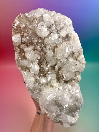 STARSEER APOPHYLLITE CLUSTER (A) Cluster The Crystal Avenues 