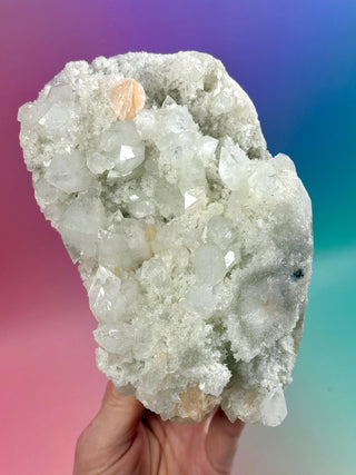 STARSEER APOPHYLLITE CLUSTER (B) Cluster The Crystal Avenues 