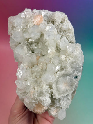 STARSEER APOPHYLLITE CLUSTER (B) Cluster The Crystal Avenues 