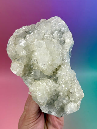 STARSEER APOPHYLLITE CLUSTER (E) Cluster The Crystal Avenues 