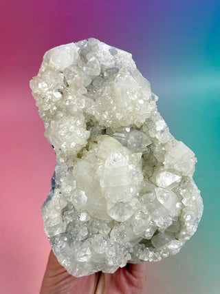 STARSEER APOPHYLLITE CLUSTER (E) Cluster The Crystal Avenues 