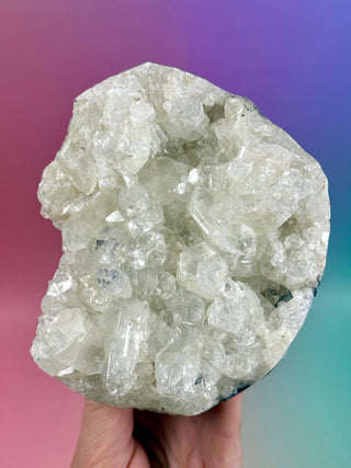 STARSEER APOPHYLLITE CLUSTER (F) Cluster The Crystal Avenues 