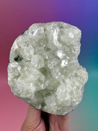 STARSEER APOPHYLLITE CLUSTER (F) Cluster The Crystal Avenues 