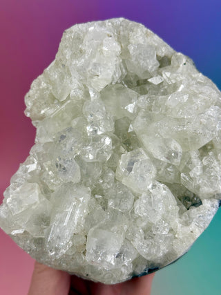 STARSEER APOPHYLLITE CLUSTER (F) Cluster The Crystal Avenues 