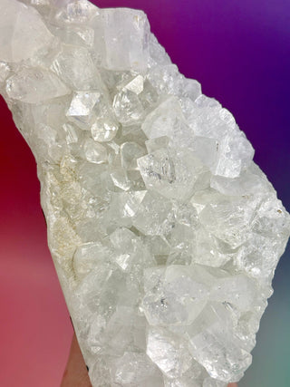 STARSEER APOPHYLLITE CLUSTER (G) Cluster The Crystal Avenues 