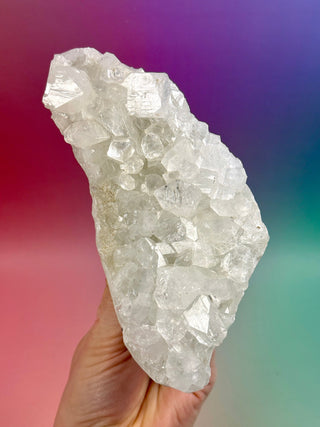 STARSEER APOPHYLLITE CLUSTER (G) Cluster The Crystal Avenues 