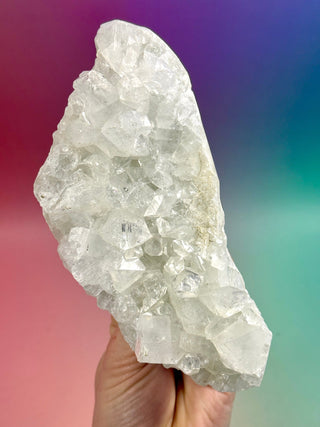 STARSEER APOPHYLLITE CLUSTER (G) Cluster The Crystal Avenues 