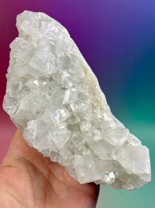 STARSEER APOPHYLLITE CLUSTER (G) Cluster The Crystal Avenues 