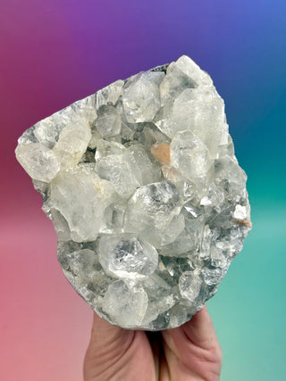 STARSEER APOPHYLLITE CLUSTER (I) Cluster The Crystal Avenues 